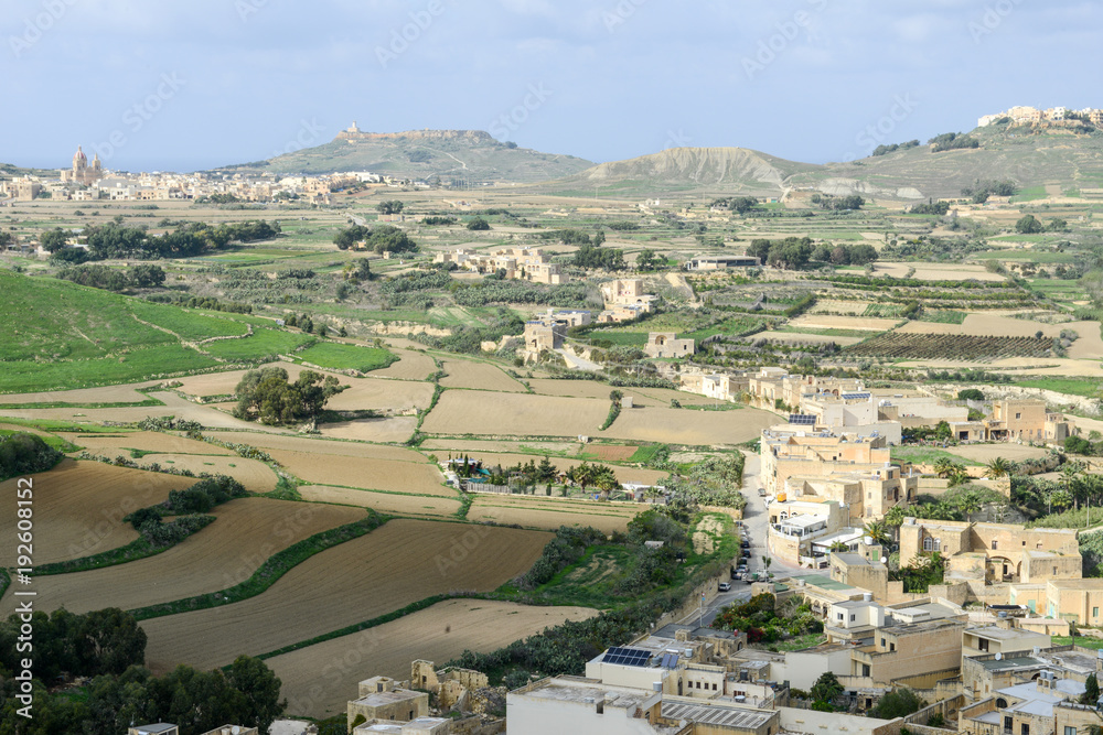 Landscape of terraced fields at island Gozo, Malta