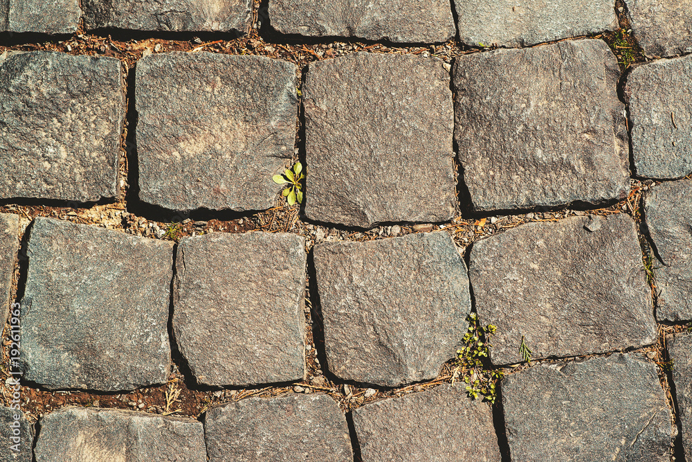 Obraz premium Old cobblestoned pavement background