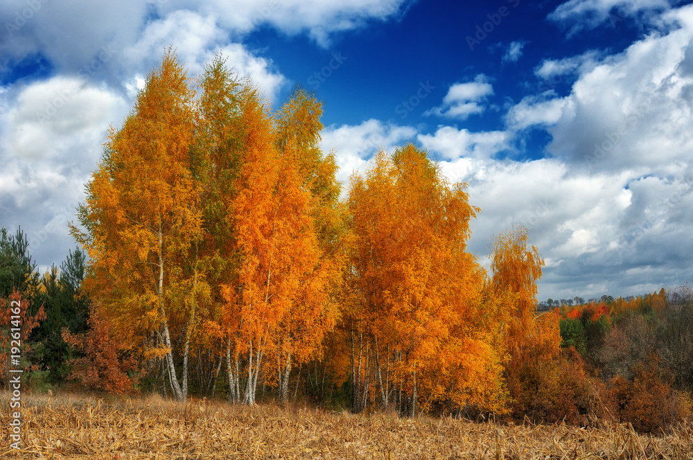 autumn day. the picturesque sky above the river autumn day. the picturesque sky above the river
