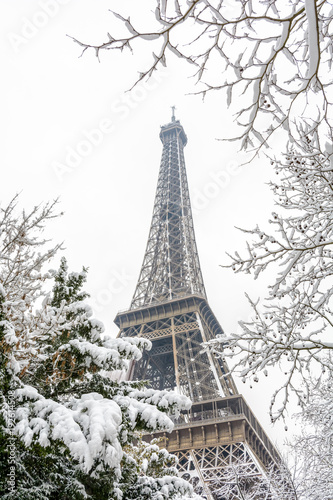 Fototapeta Naklejka Na Ścianę i Meble -  Winter in Paris in the snow. Low angle view of the Eiffel tower through snow covered branches.