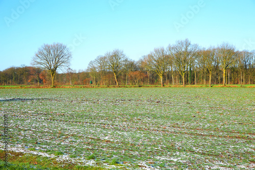 Wallpaper Mural Idyllic landscape near Warendorf in Muensterland, Westphalia, Germany Torontodigital.ca