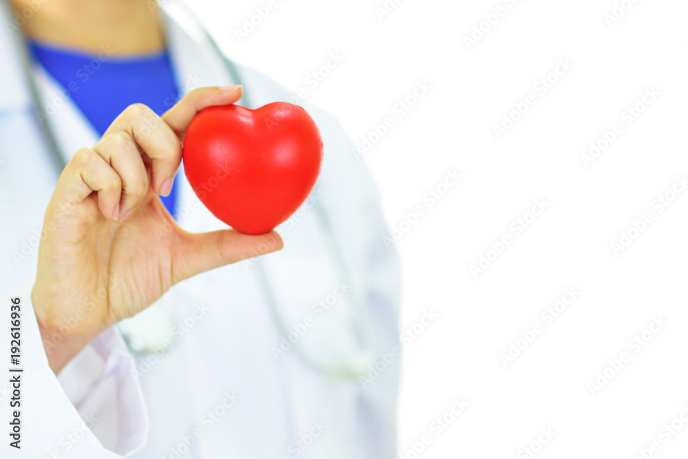 Doctor holding heart in hands, heart care concept
Doctor holding heart in hands, heart care concept