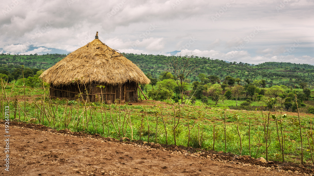 Traditional houses in Ethiopia, Africa Traditional houses in Ethiopia, Africa