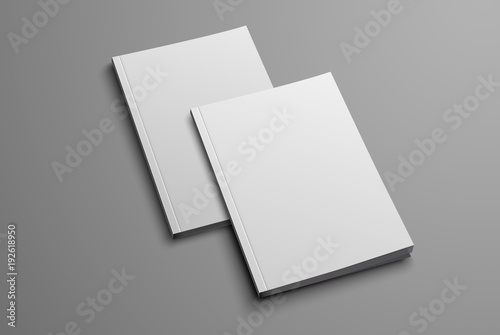 Two mockup for the presentation of the catalog.