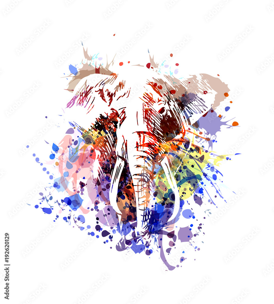 Obraz Wektor ilustracja kolor słonia