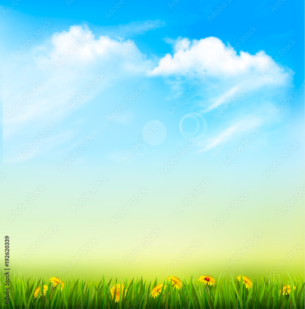 Spring Nature Background With A Green Grass And Blue Sky With Clouds. Vector. Spring Nature Background With A Green Grass And Blue Sky With Clouds. Vector.