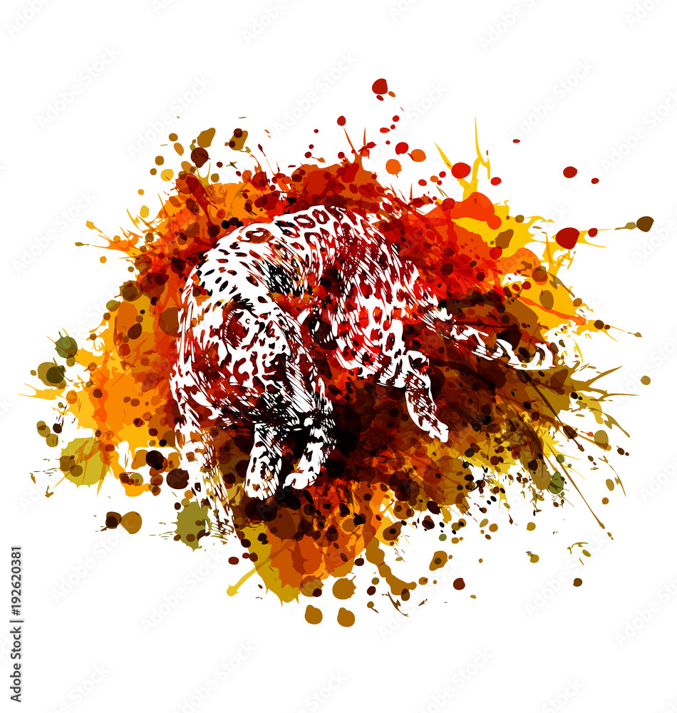 Naklejka premium Jaguar ilustracja kolor wektor