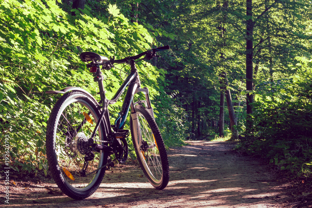 Female mountain bike in a forest