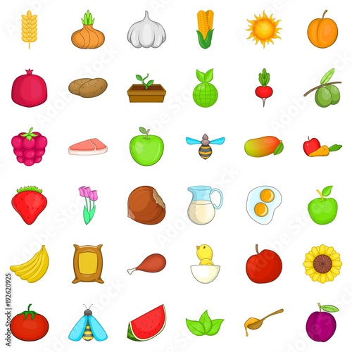 Natural ration icons set, cartoon style