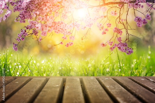 Spring flowers and wooden deck in morning sunlight background 
