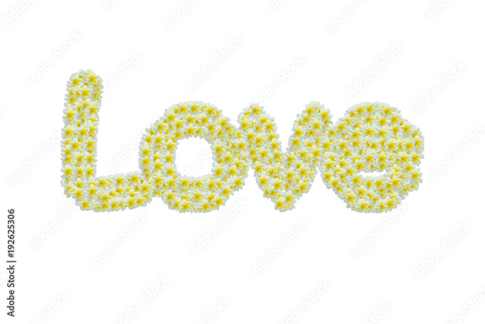 Message from flowers on white background. Love. Message from flowers on white background. Love.