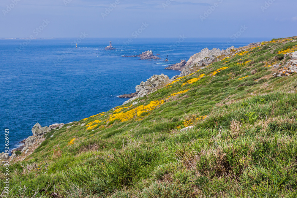 Rocky promontory Pointe du Raz covered in yellow wildflowers in spring day - westernmost France point in Brittany
