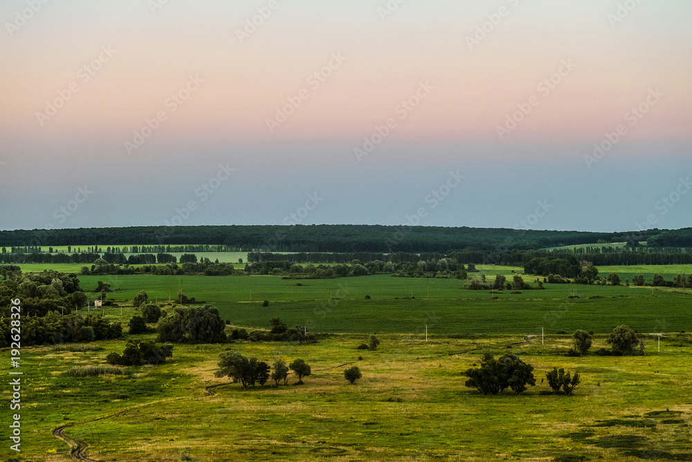 View of green forest-steppe plain. Green landscape from height. Evening time.