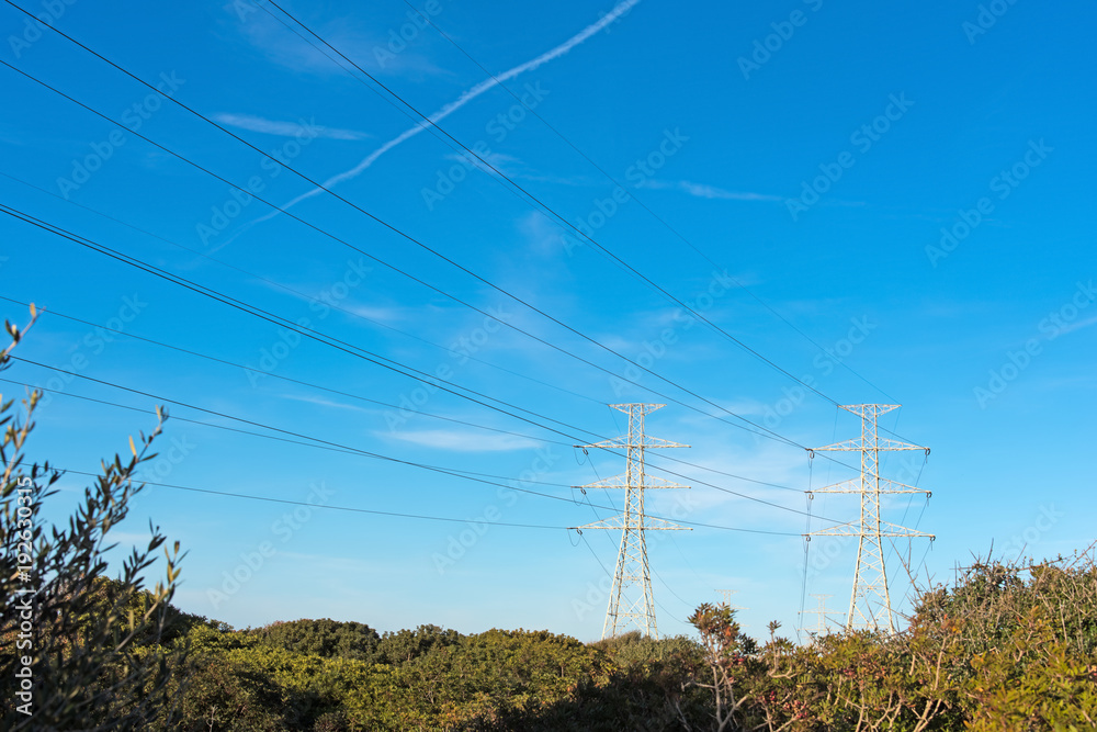 electricity pylons in a field