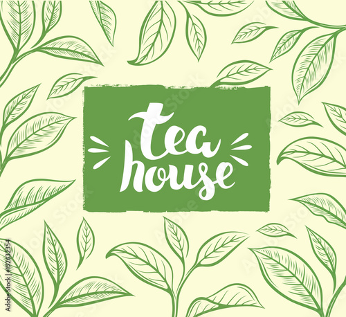 Vector background with tea leaf.
