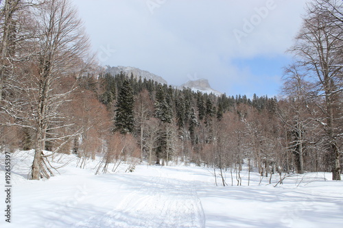 Wallpaper Mural winter in mountains Torontodigital.ca