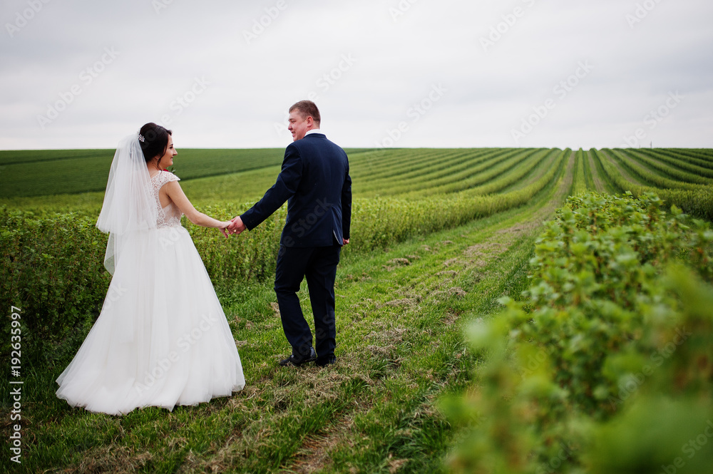 Attractive young wedding couple posing on the blackcurrant field on their wedding day.