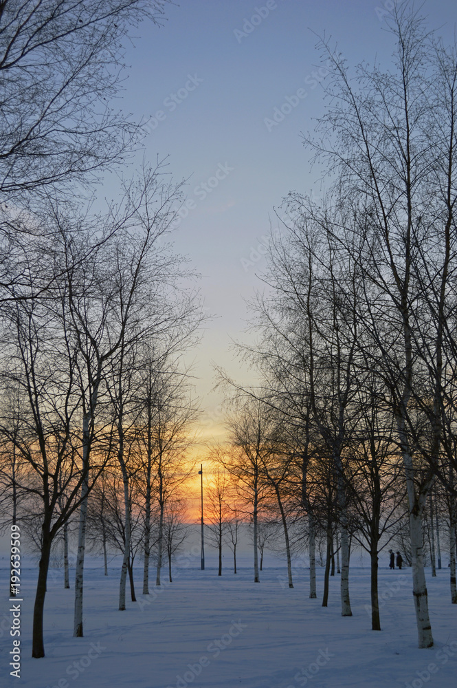 Fototapeta premium winter landscape