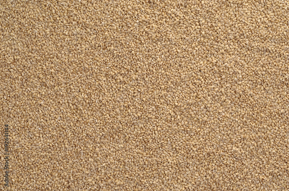 Whole Grains. Top View of Healthy grain foods. Full Frame Texture.. Whole Grains. Top View of Healthy grain foods. Full Frame Texture..