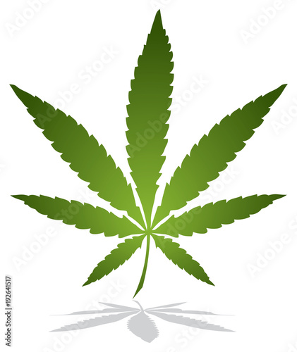 Marijuana leaf vector