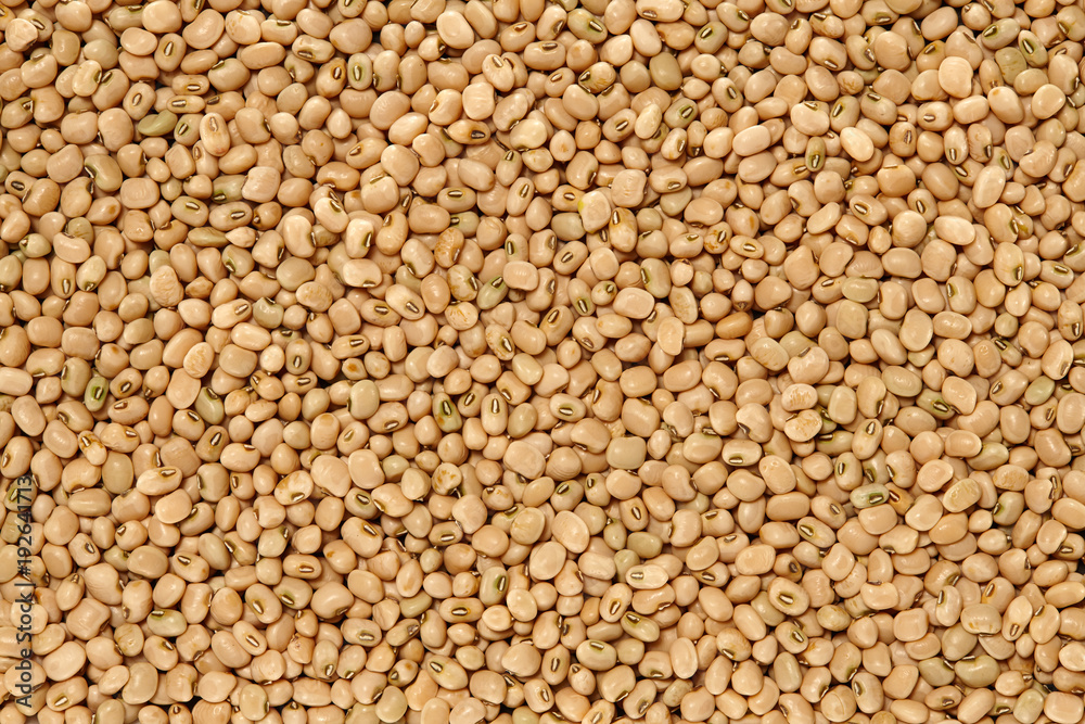 Whole Grains. Top View of Healthy grain foods. Full Frame Texture. Beans. Whole Grains. Top View of Healthy grain foods. Full Frame Texture. Beans.