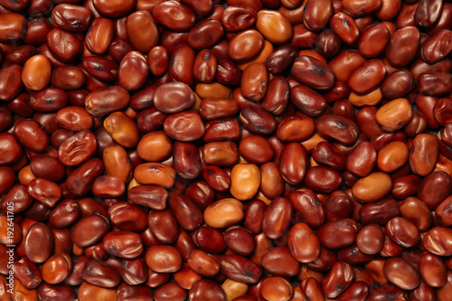 Whole Grains. Top View of Healthy grain foods. Full Frame Texture. Beans.
