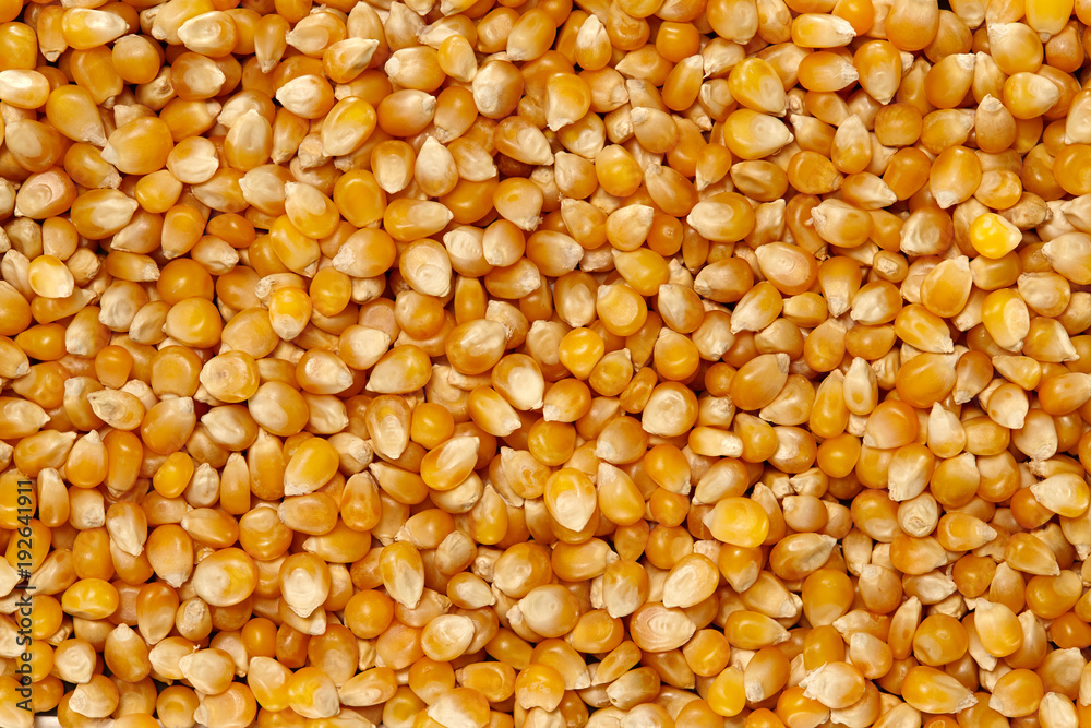 Whole Grains. Top View of Healthy grain foods. Full Frame Texture. Corn. Whole Grains. Top View of Healthy grain foods. Full Frame Texture. Corn.