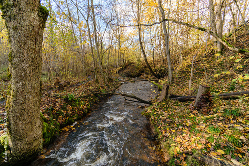 mountain river in autumn