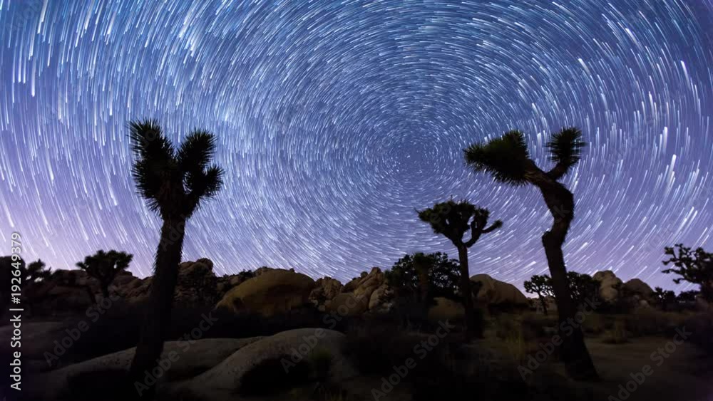 Joshua Trees night 4k timelapse with star trails, Joshua Tree National Park, California