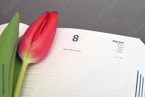 Międzynarodowy Dzień Kobiet, kalendarz z piękny tulipanem