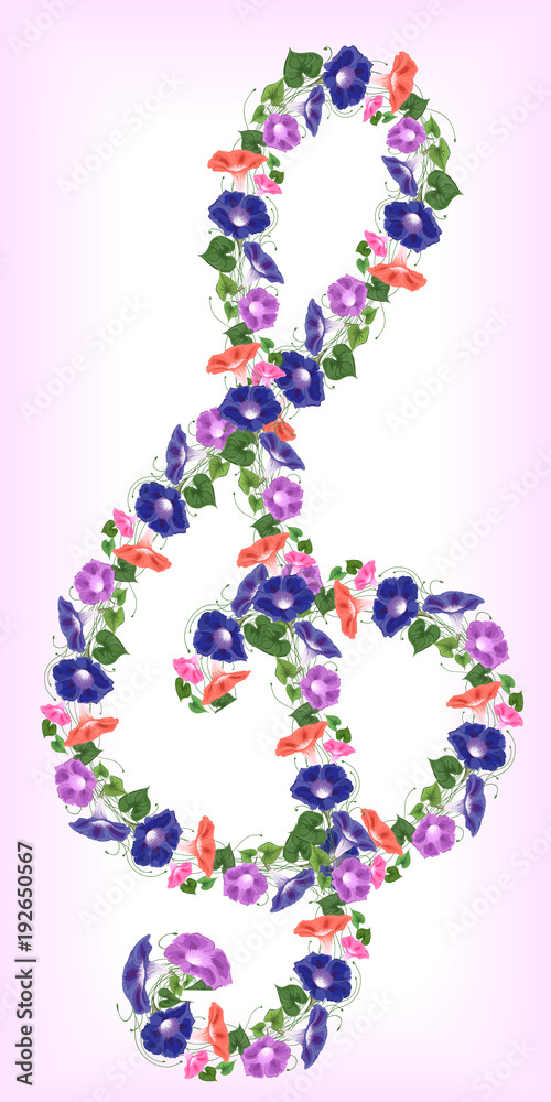 treble clef bindweed treble clef bindweed