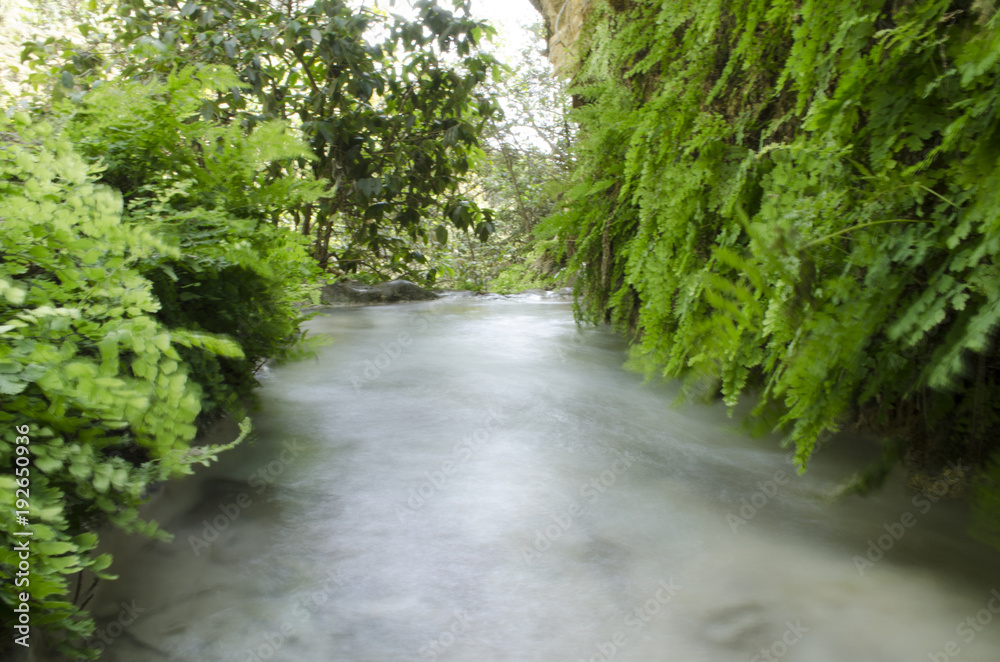Naklejka premium Pozas Azules, Guerrero, México