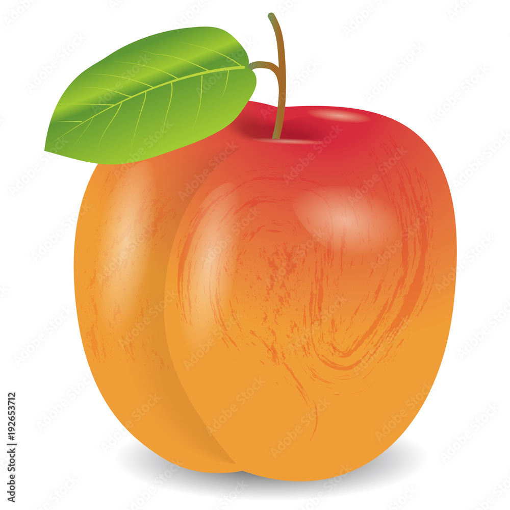 Vetor De Do Stock Adobe Stock vetor-de-do-stock-adobe-stock