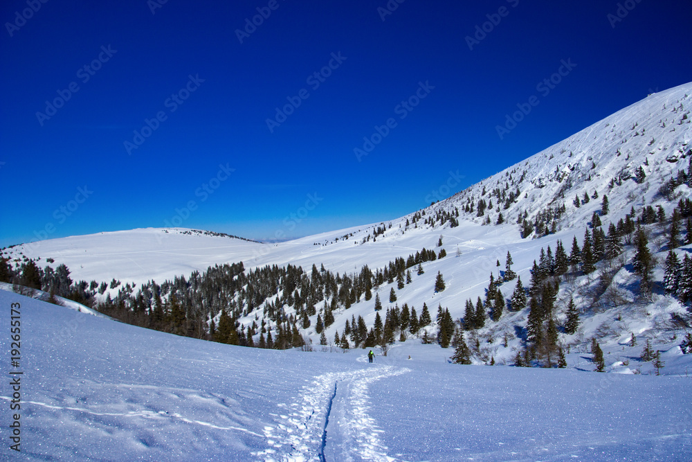 Tour ski in Austria