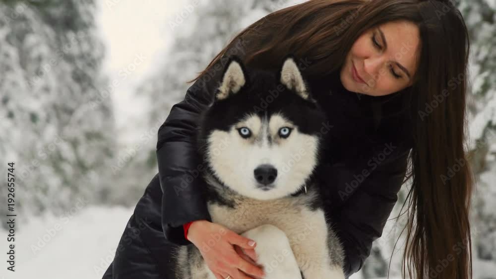 A beautiful girl hugs Siberian husky in nature and is engaged in training. Strong and loving hugs A beautiful girl hugs Siberian husky in nature and is engaged in training. Strong and loving hugs