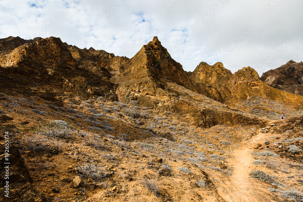 Fototapeta premium Trails in the upper part of Punta Pitt