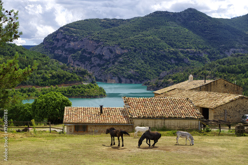 The stud farm by the Llosa del Cavall lake, Lleida province, Catalonia, Spain. photo