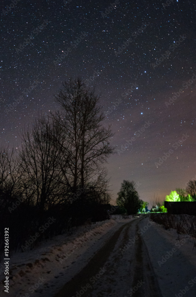 The road in Russian village , frosty and snowy at night. The trees and the starry sky overhead. The constellation of the great bear shines in the sky.