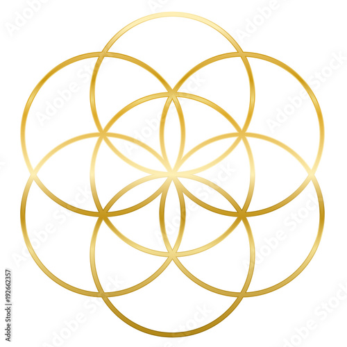 Golden Seed of Life. Precursor of Flower of Life symbol. Unique geometrical figure, composed of seven overlapping circles of same size, forming the symmetrical structure of a hexagon.