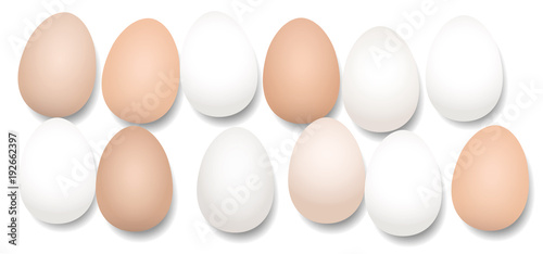 A dozen eggs. Twelve pieces with different white and brown tones, lying side by side, loosely arranged - isolated vector illustration on white background.