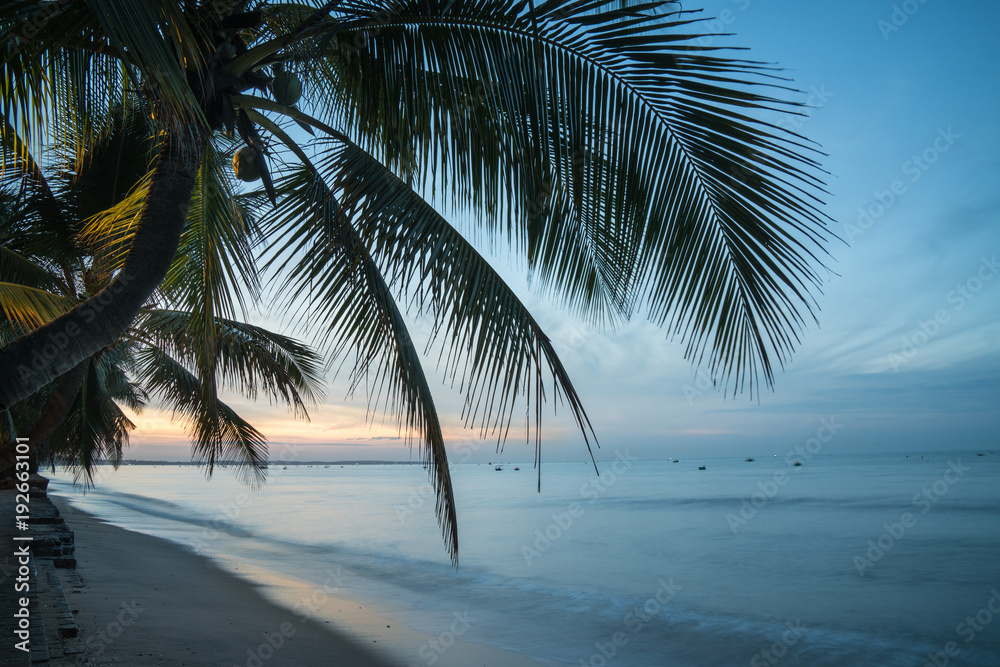 Beautiful sunset above the sea with views of palm trees on white beach