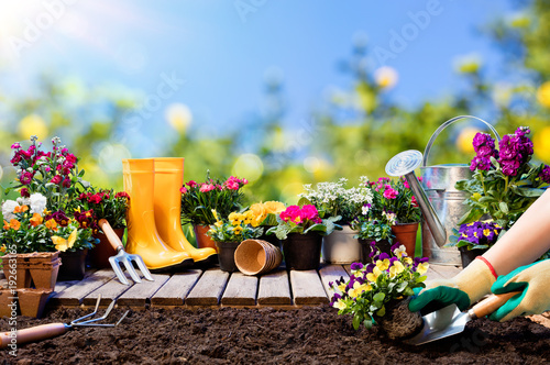 Gardening - Gardener Planting Pansy With With Flowerpots And Tools
