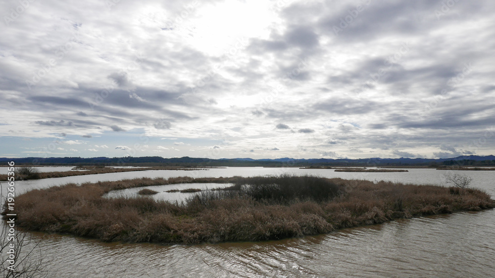Oregon Wetlands