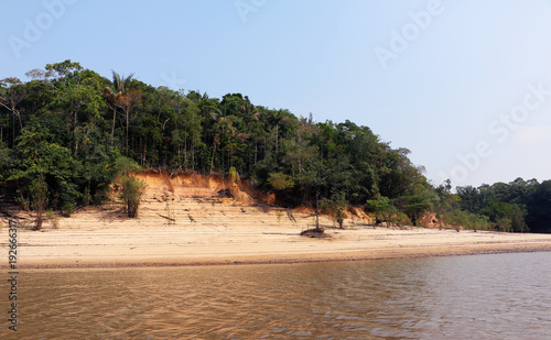 Fototapeta Naklejka Na Ścianę i Meble -  Bank of river Solimoes in Amazonia, Brazil, with visible signs of reducing water level during droughty season and rich vegetation