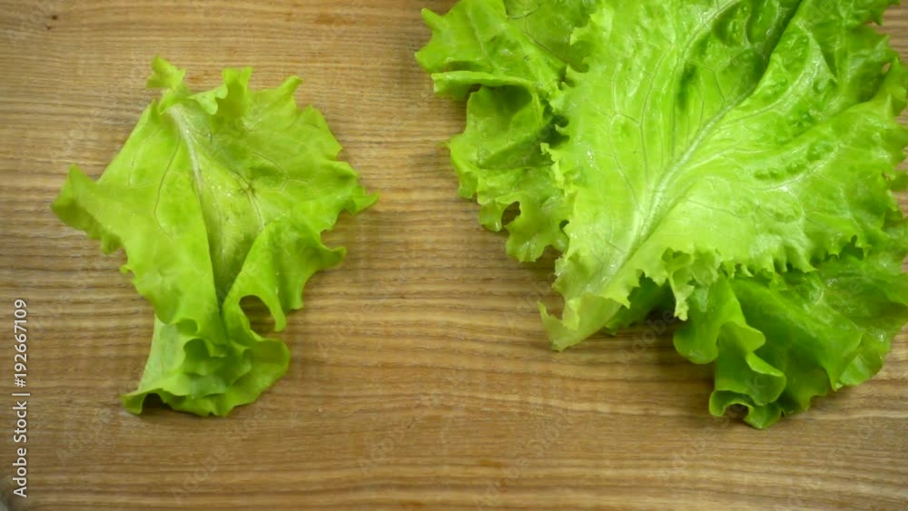 Lettuce leaves fall on a board. Slow Motion. Lettuce leaves fall on a board. Slow Motion.