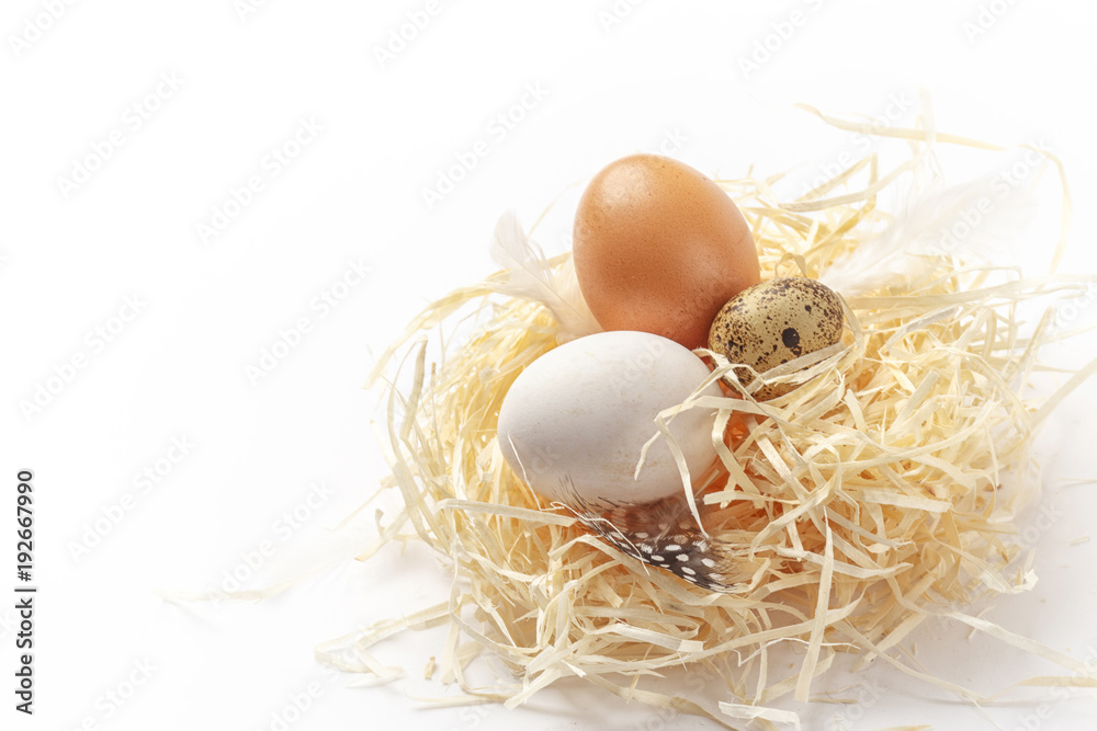 still life of eggs, Easter ggs on the dry grass still life of eggs, Easter ggs on the dry grass