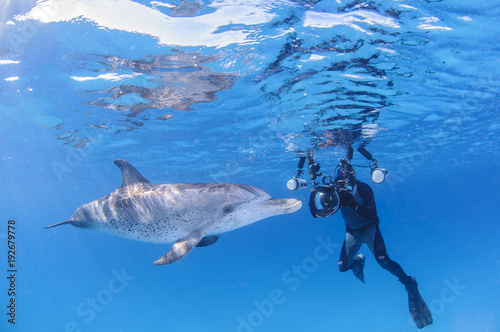Underwater Photographer with Friendly Dolphin in Clear Waters of Bahamas