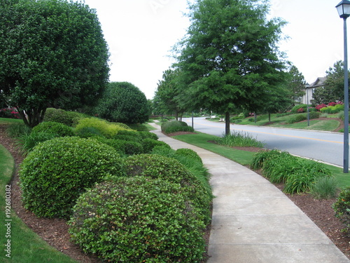 green landscape 
