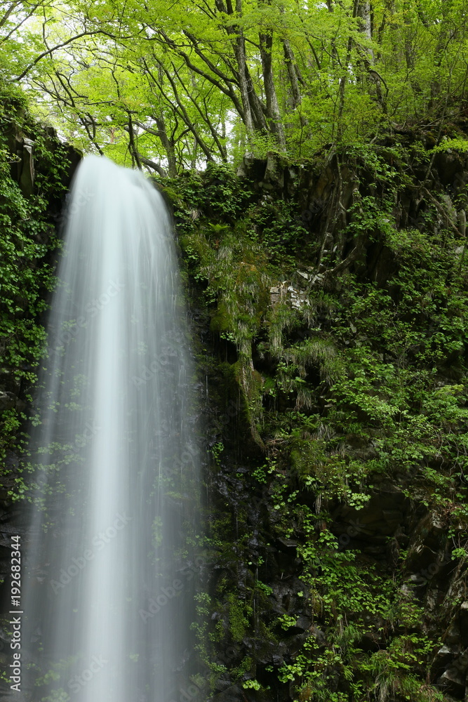 夏の高瀬峡 大滝 山形県遊佐町 Summer Takase Gorges Otaki Yuza Yamagata Japan Stock 写真 Adobe Stock 夏の高瀬峡 大滝 山形県遊佐町 Summer Takase Gorges Otaki Yuza Yamagata Japan Stock 写真 Adobe Stock