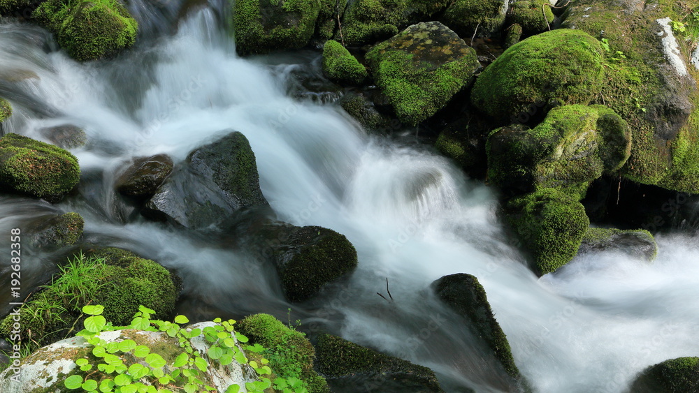 高瀬峡の清流(16:9) 山形県遊佐町 Takase Gorges / Yuza, Yamagata, Japan 高瀬峡の清流(16:9) 山形県遊佐町 Takase Gorges / Yuza, Yamagata, Japan